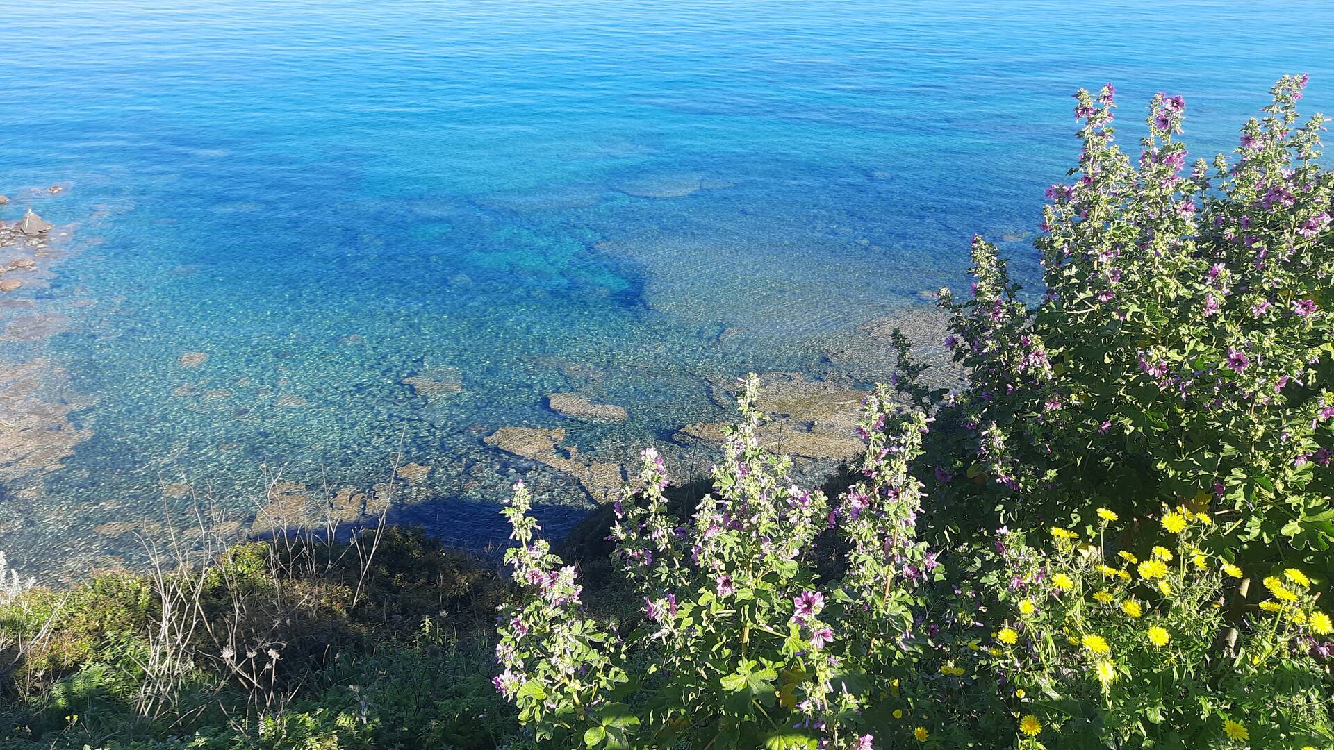 Apartament MADES Castelsardo 9