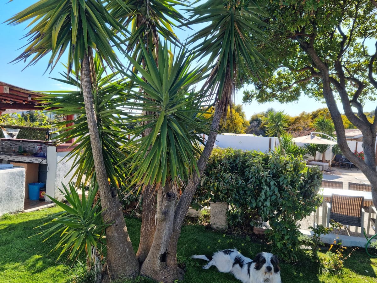 Villa Allegra — Basen i ogrody w Conca Verde