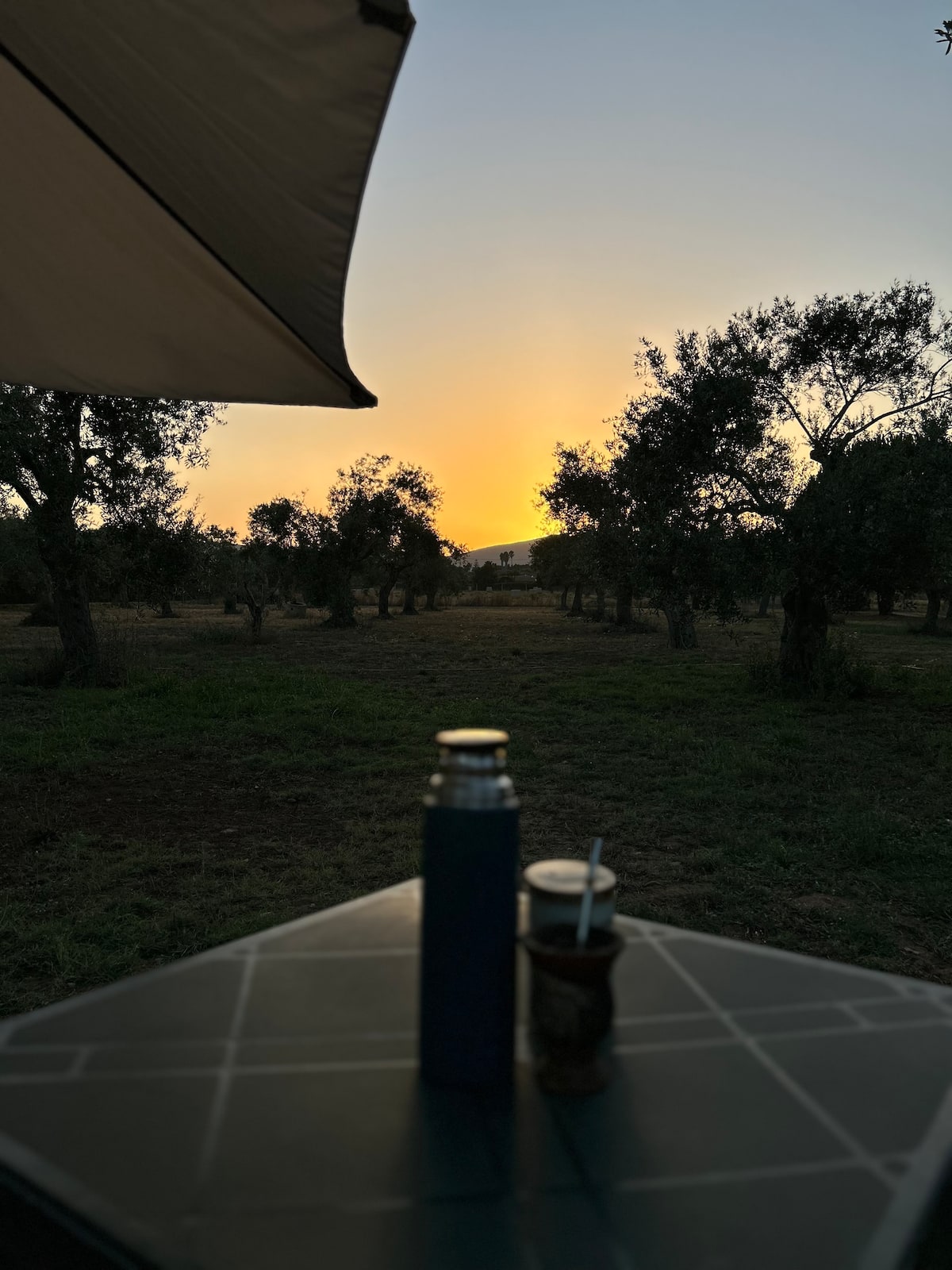 Janna Bentosa — Willa rodzinna z basenem