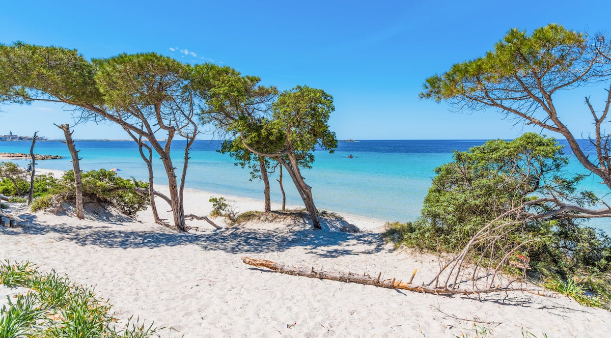 Villa Flamingo — Luksusowy basen i SPA