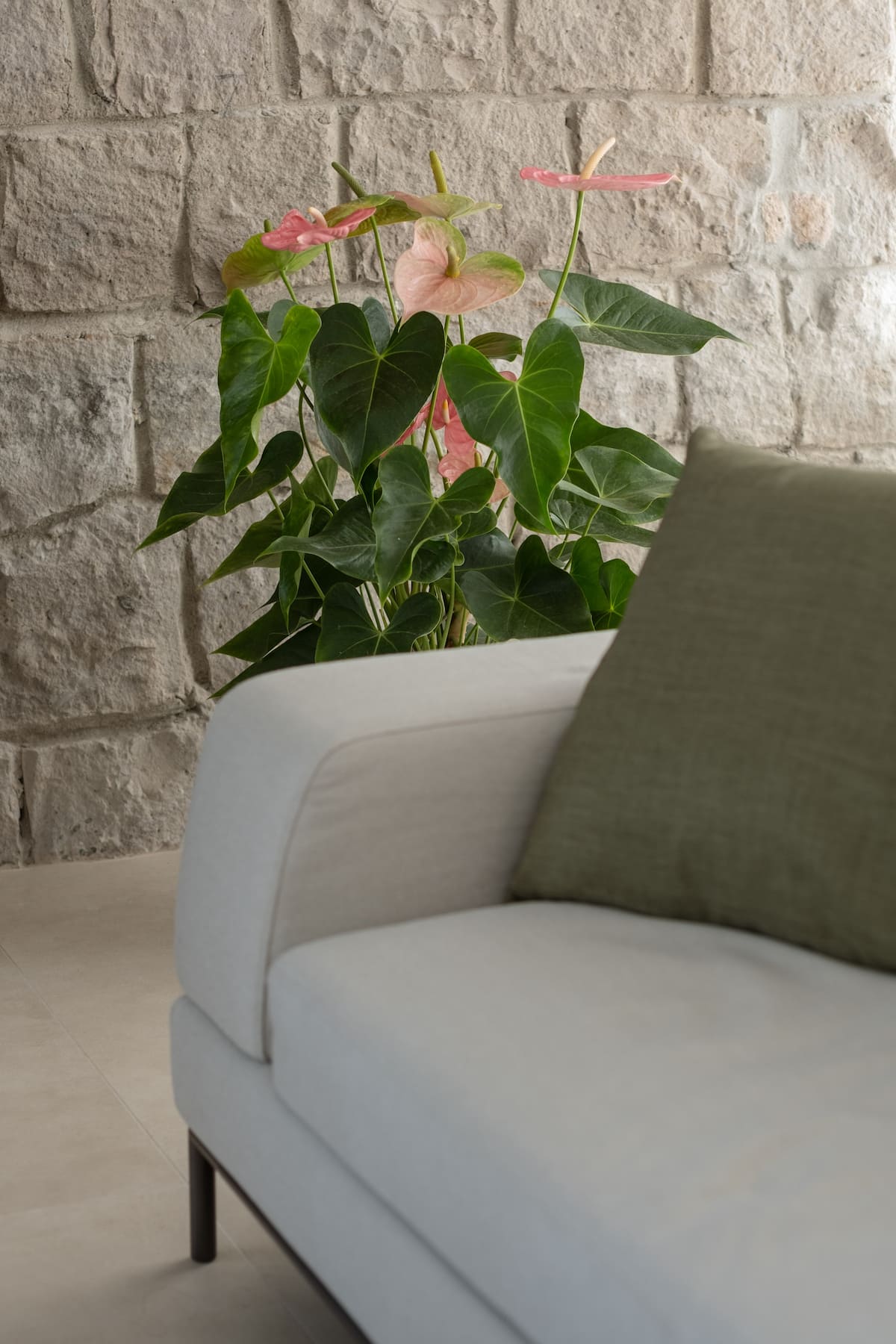 S'Arpagiu — Brama do morza z basenem